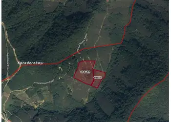 YATIRIM FIRSATI - GİRESUN/BULANCAK KÜÇÜKDERE KÖYÜNDE 30 DÖNÜM SATILIK FINDIK BAHÇESİ