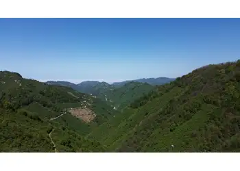 YATIRIM FIRSATI - GİRESUN/BULANCAK KÜÇÜKDERE KÖYÜNDE 30 DÖNÜM SATILIK FINDIK BAHÇESİ