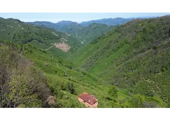 YATIRIM FIRSATI - GİRESUN/BULANCAK KÜÇÜKDERE KÖYÜNDE 30 DÖNÜM SATILIK FINDIK BAHÇESİ