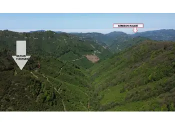 YATIRIM FIRSATI - GİRESUN/BULANCAK KÜÇÜKDERE KÖYÜNDE 30 DÖNÜM SATILIK FINDIK BAHÇESİ