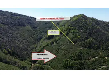 YATIRIM FIRSATI - GİRESUN/BULANCAK KÜÇÜKDERE KÖYÜNDE 30 DÖNÜM SATILIK FINDIK BAHÇESİ